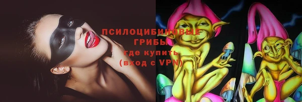 соль ск Белокуриха