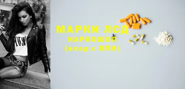 соль ск Белокуриха