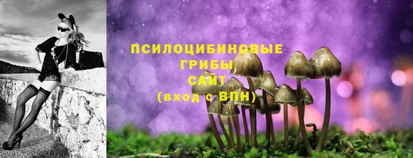 прущая мука Белоозёрский