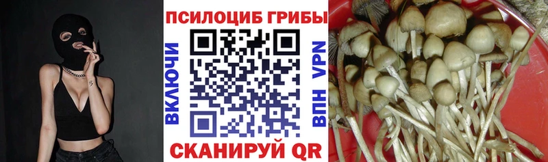 Псилоцибиновые грибы MAGIC MUSHROOMS Купить Буй